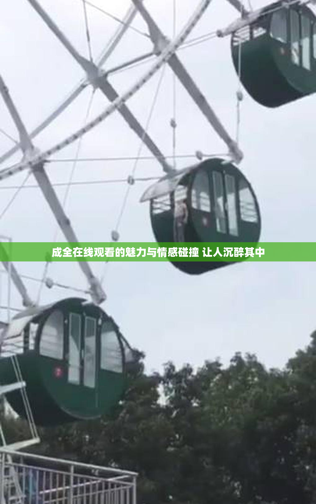 成全在线观看的魅力与情感碰撞 让人沉醉其中