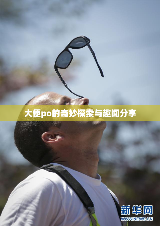 大便po的奇妙探索与趣闻分享