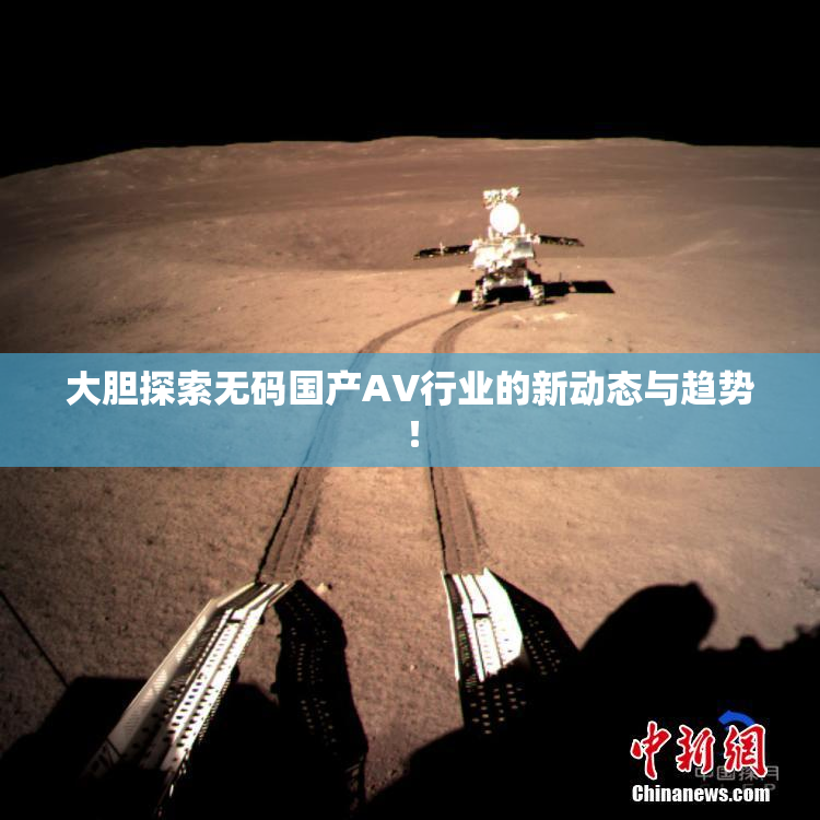 大胆探索无码国产AV行业的新动态与趋势！