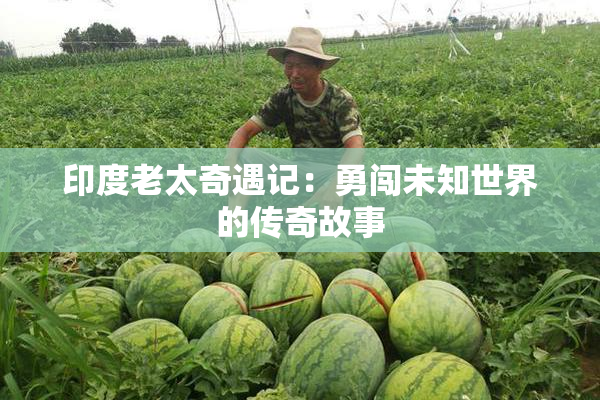 印度老太奇遇记：勇闯未知世界的传奇故事