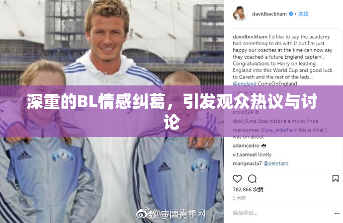 深重的BL情感纠葛，引发观众热议与讨论