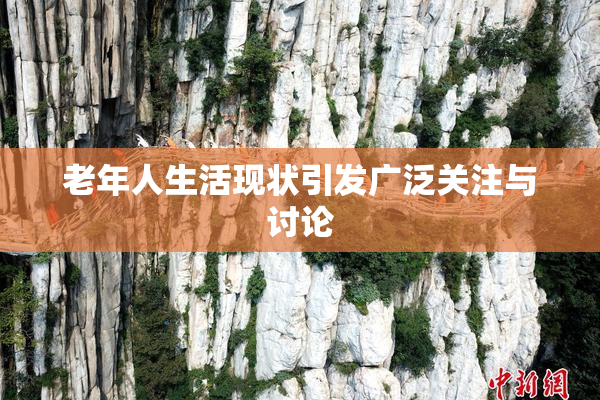 老年人生活现状引发广泛关注与讨论