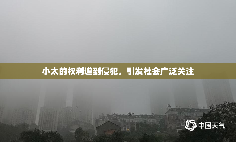 小太的权利遭到侵犯，引发社会广泛关注