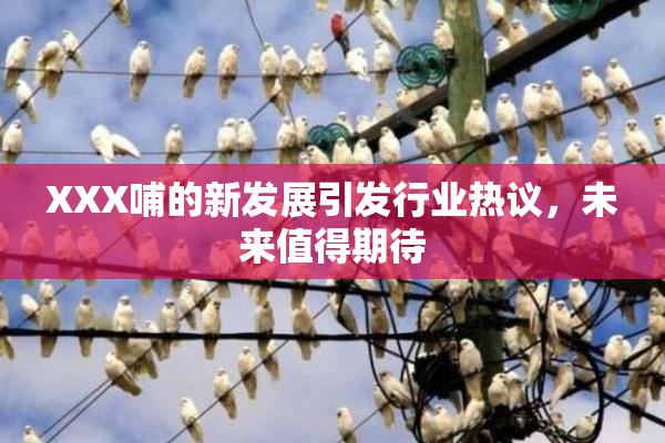 XXX哺的新发展引发行业热议，未来值得期待