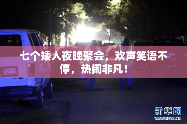 七个矮人夜晚聚会，欢声笑语不停，热闹非凡！
