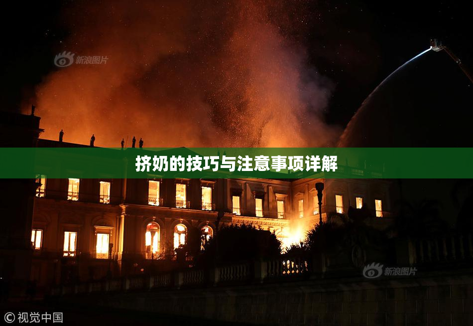 挤奶的技巧与注意事项详解