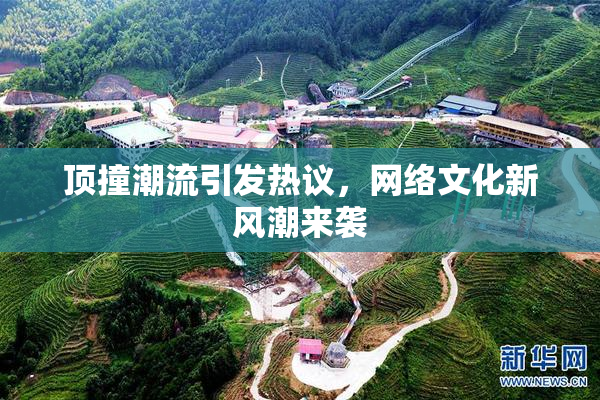 顶撞潮流引发热议，网络文化新风潮来袭