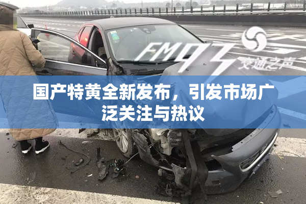 国产特黄全新发布，引发市场广泛关注与热议