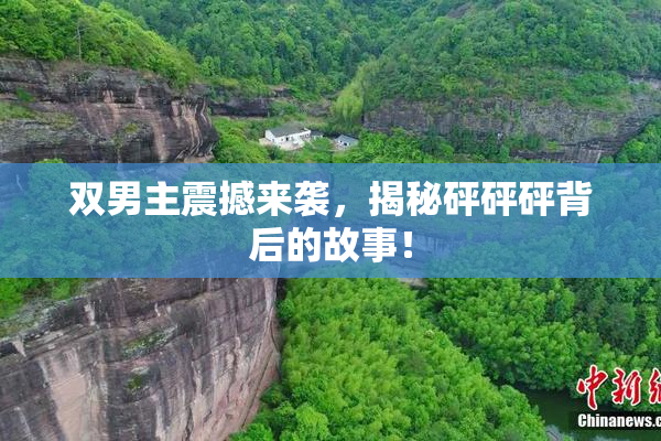 双男主震撼来袭，揭秘砰砰砰背后的故事！