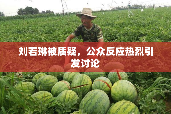 刘若琳被质疑，公众反应热烈引发讨论