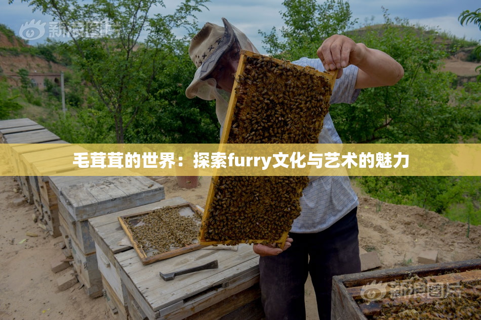 毛茸茸的世界：探索furry文化与艺术的魅力
