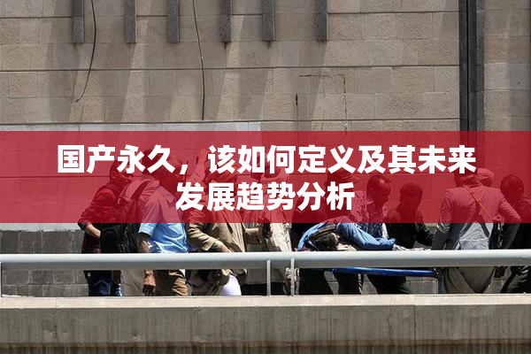 国产永久，该如何定义及其未来发展趋势分析