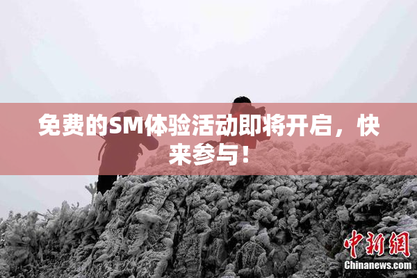 免费的SM体验活动即将开启，快来参与！