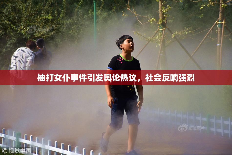抽打女仆事件引发舆论热议，社会反响强烈