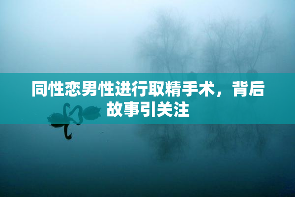 同性恋男性进行取精手术，背后故事引关注