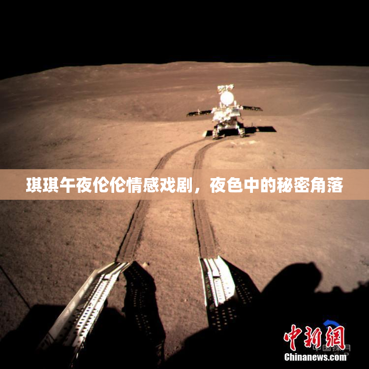 琪琪午夜伦伦情感戏剧，夜色中的秘密角落