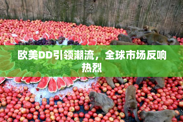 欧美DD引领潮流，全球市场反响热烈