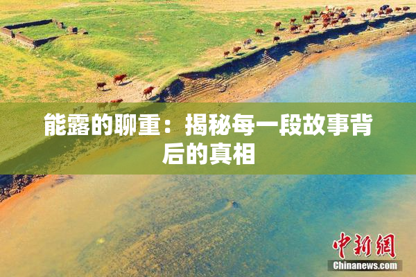能露的聊重：揭秘每一段故事背后的真相