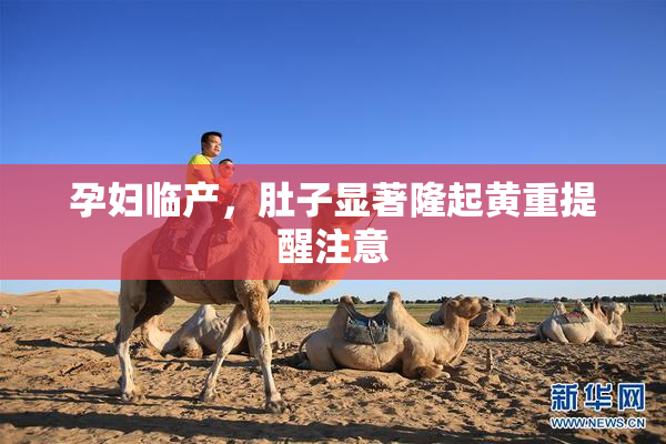 孕妇临产，肚子显著隆起黄重提醒注意