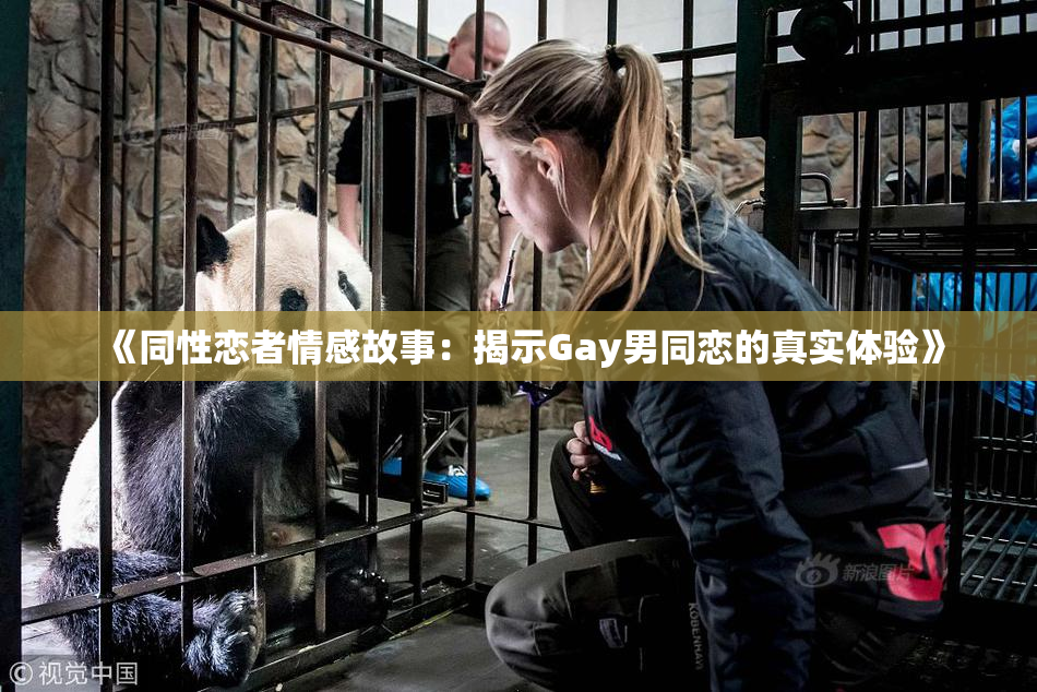 《同性恋者情感故事：揭示Gay男同恋的真实体验》