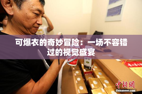 可爆衣的奇妙冒险：一场不容错过的视觉盛宴