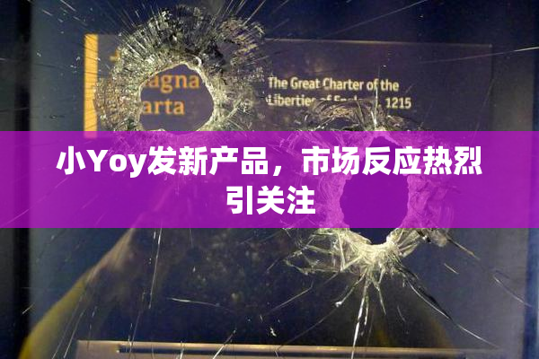 小Yoy发新产品，市场反应热烈引关注