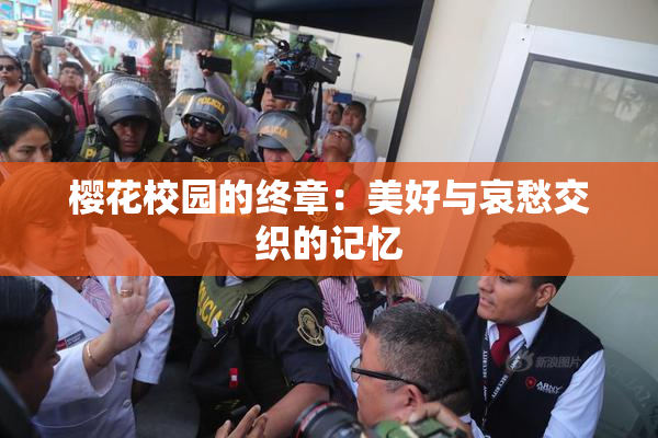 樱花校园的终章：美好与哀愁交织的记忆