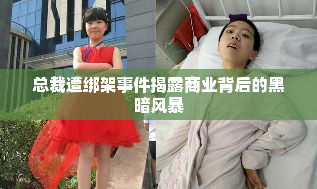 总裁遭绑架事件揭露商业背后的黑暗风暴