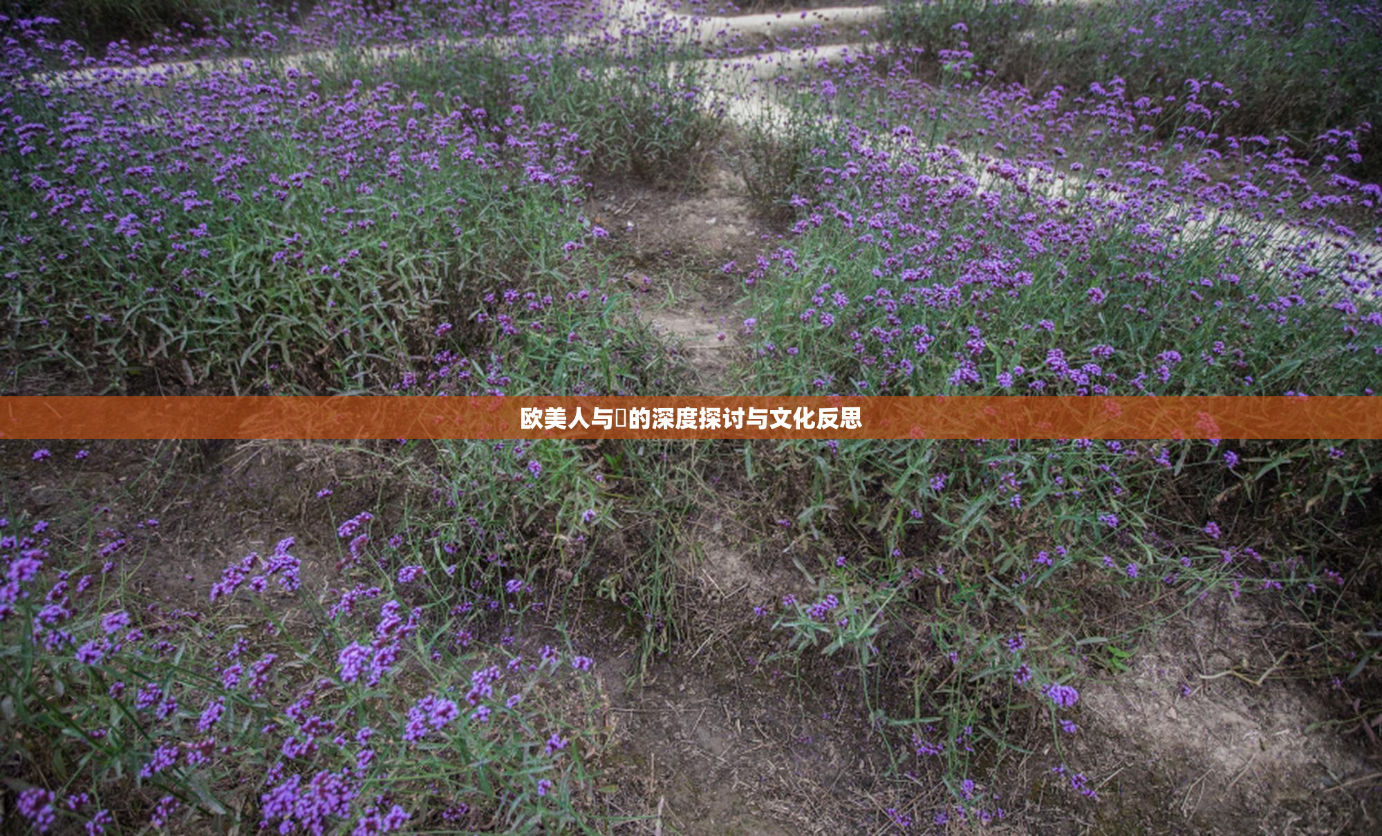 欧美人与嘼的深度探讨与文化反思