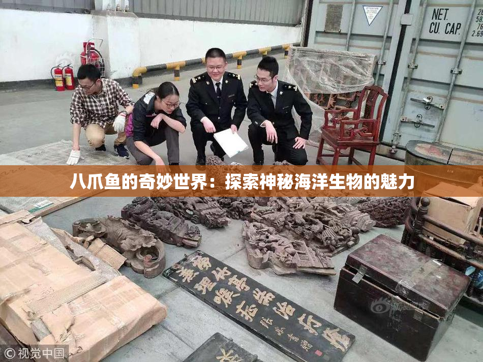 八爪鱼的奇妙世界：探索神秘海洋生物的魅力
