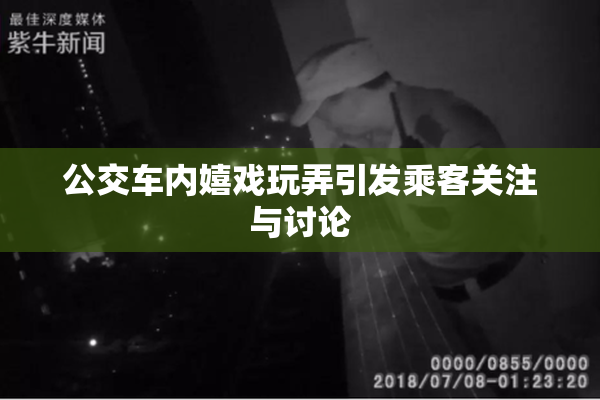 公交车内嬉戏玩弄引发乘客关注与讨论