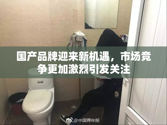 国产品牌迎来新机遇，市场竞争更加激烈引发关注