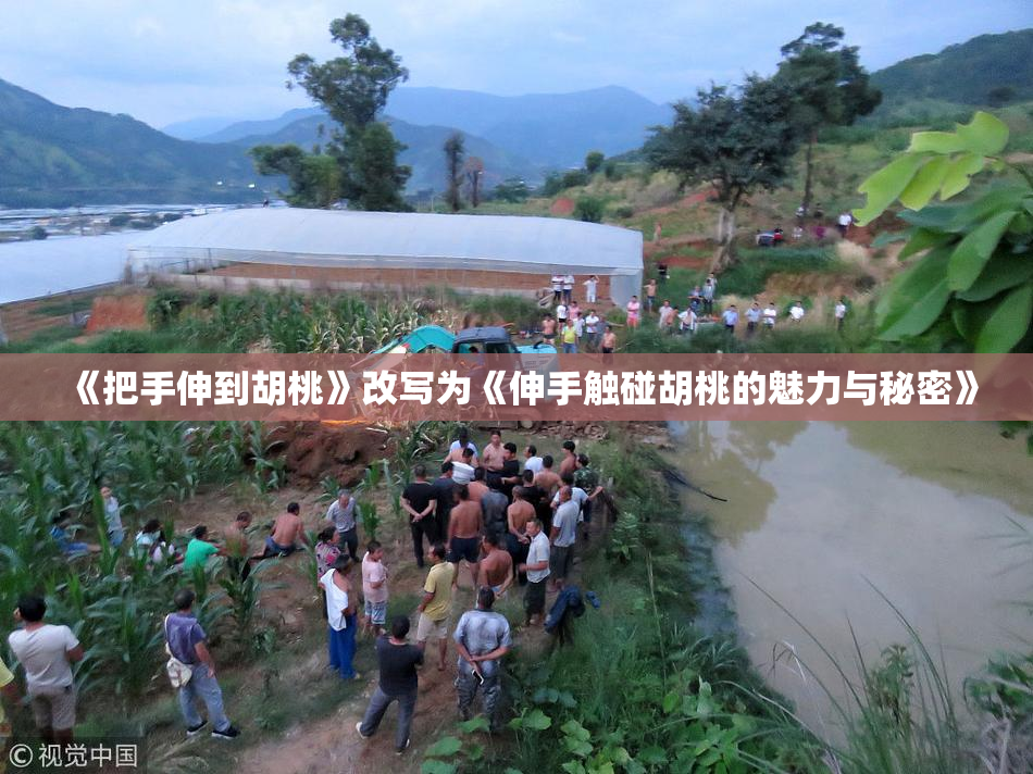 《把手伸到胡桃》改写为《伸手触碰胡桃的魅力与秘密》