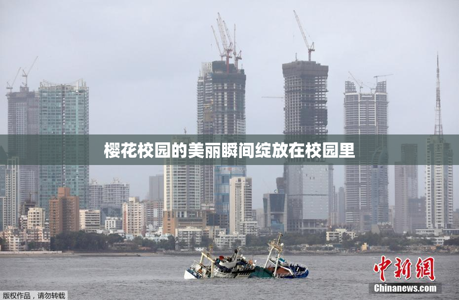 樱花校园的美丽瞬间绽放在校园里