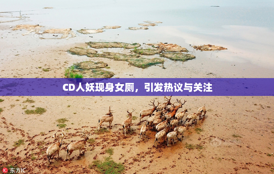 CD人妖现身女厕，引发热议与关注