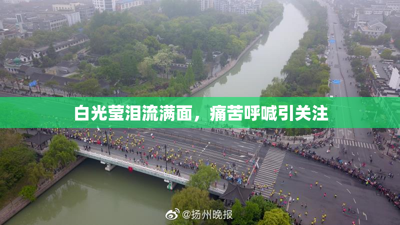 白光莹泪流满面，痛苦呼喊引关注