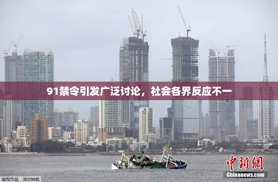 91禁令引发广泛讨论，社会各界反应不一