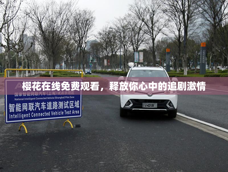 樱花在线免费观看，释放你心中的追剧激情