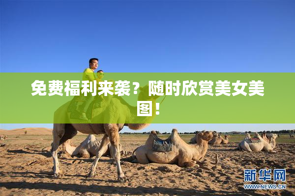 免费福利来袭？随时欣赏美女美图！
