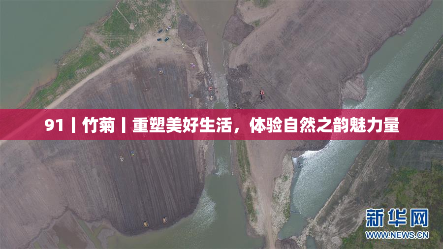 91丨竹菊丨重塑美好生活，体验自然之韵魅力量