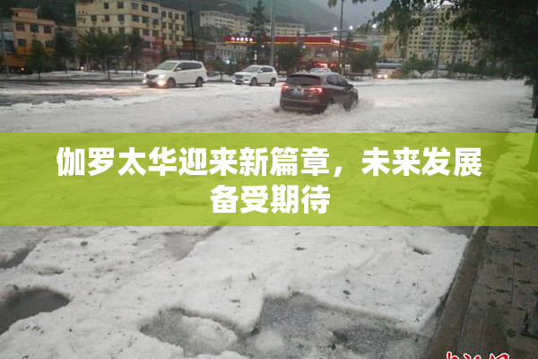 伽罗太华迎来新篇章，未来发展备受期待
