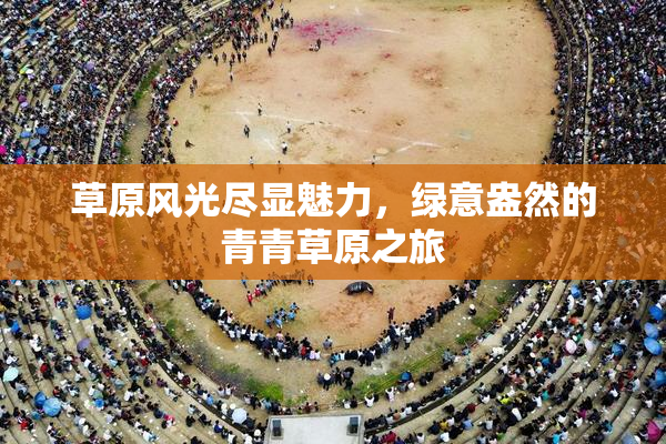 草原风光尽显魅力，绿意盎然的青青草原之旅