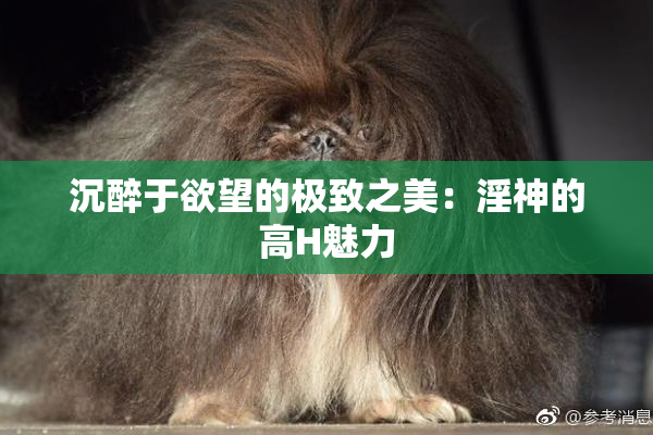 沉醉于欲望的极致之美：淫神的高H魅力