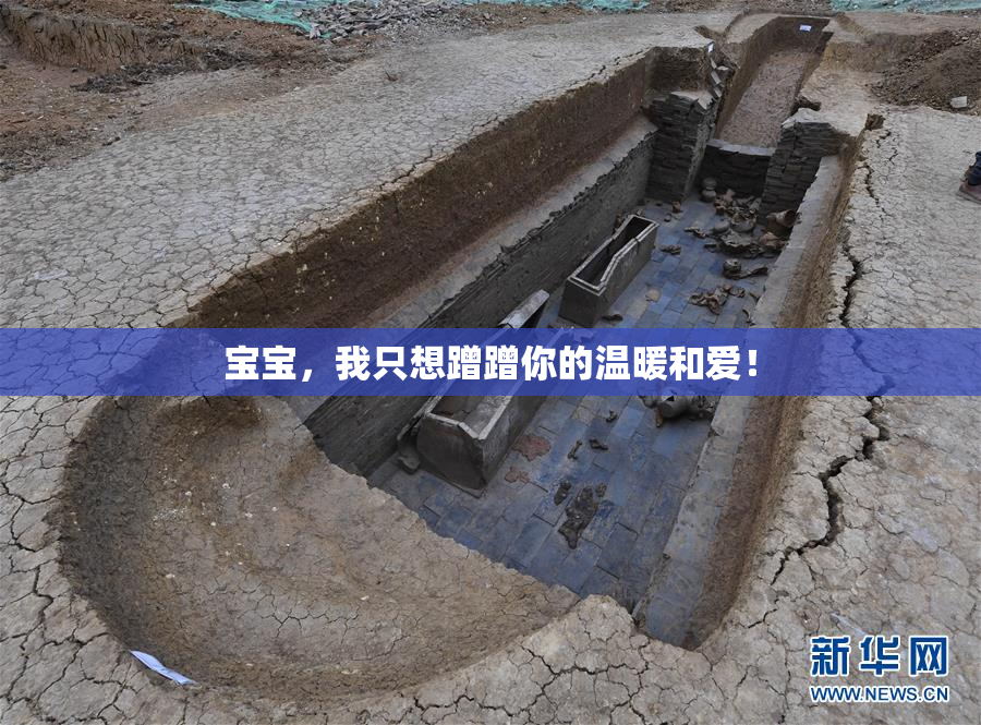 宝宝，我只想蹭蹭你的温暖和爱！