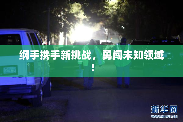 纲手携手新挑战，勇闯未知领域！