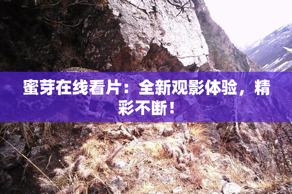 蜜芽在线看片：全新观影体验，精彩不断！