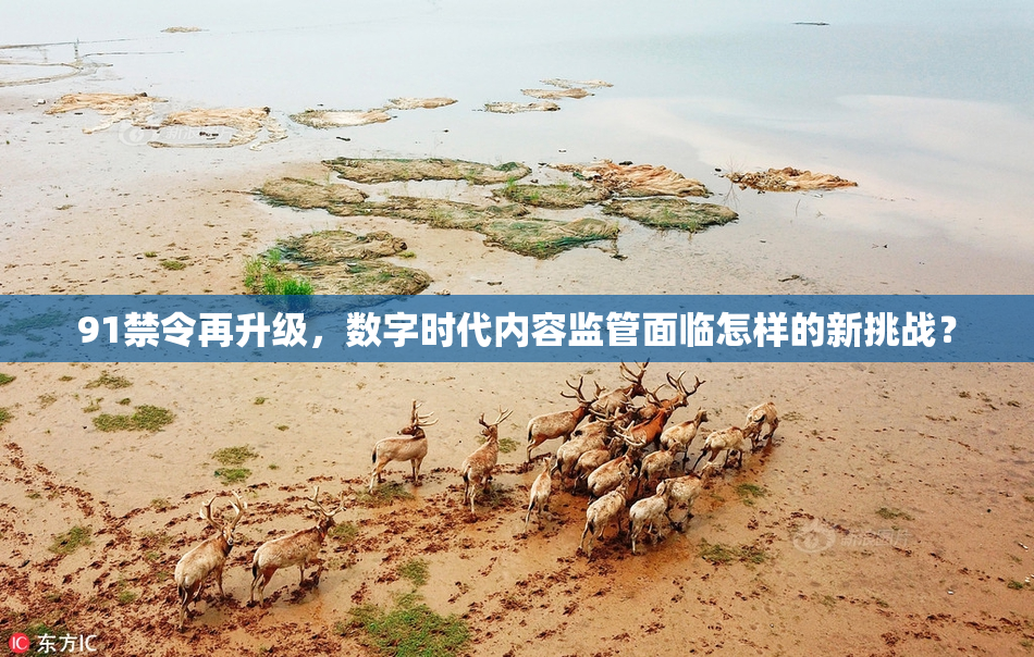 91禁令再升级，数字时代内容监管面临怎样的新挑战？
