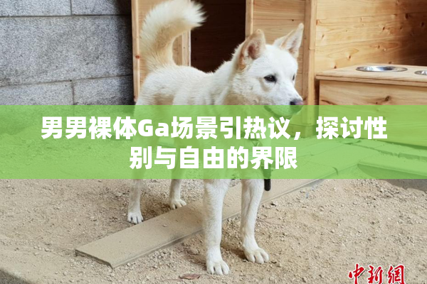 男男裸体Ga场景引热议，探讨性别与自由的界限