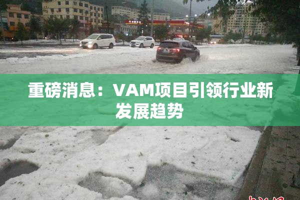 重磅消息：VAM项目引领行业新发展趋势