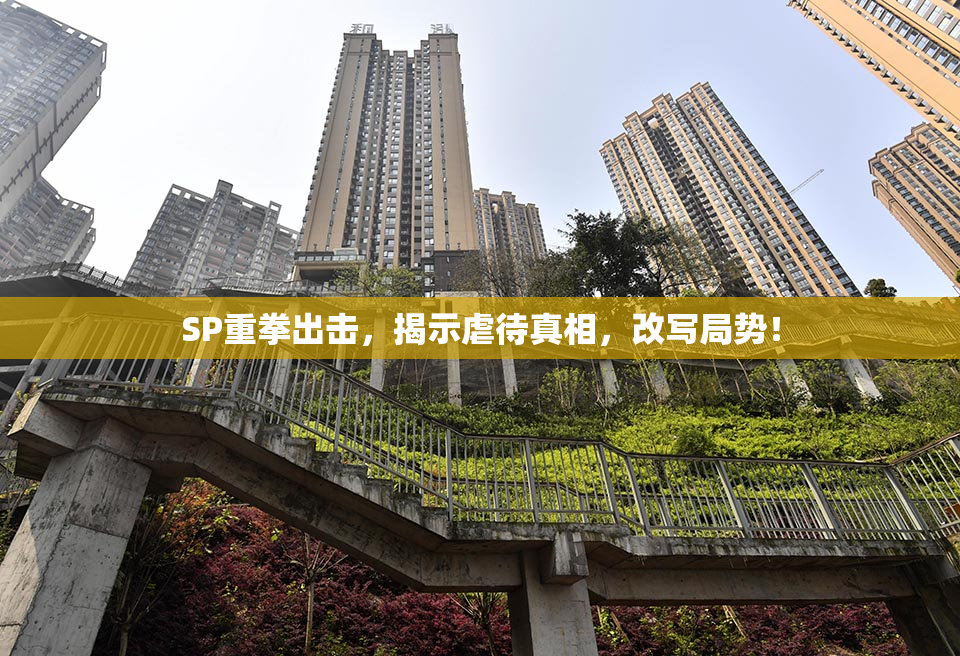 SP重拳出击，揭示虐待真相，改写局势！